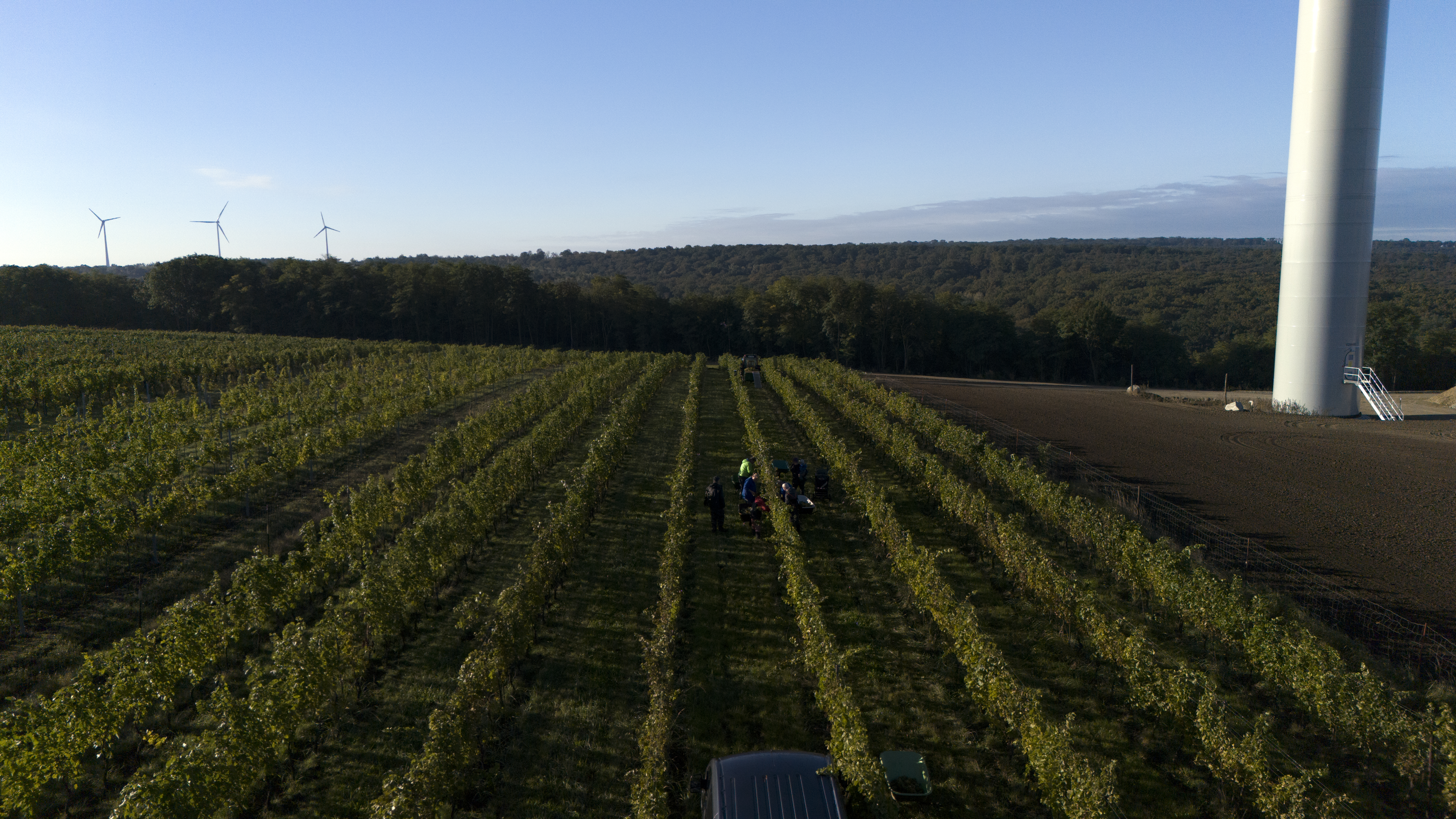 Harvest 2025 Harvest 2025