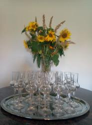 Verkostungen am Weingut